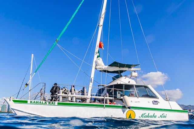  OAHU CATAMARANS Snorkel with Turtles in Waikiki Limited Capacity - Photo 1 of 8